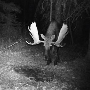 Meet your Posher, Edmond